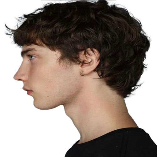 Short Wolf